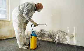 Aliquippa, PA Mold Remediation Company